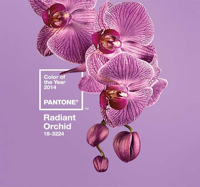 Spring-2014-Radiant-Orchid-for -Interiors15